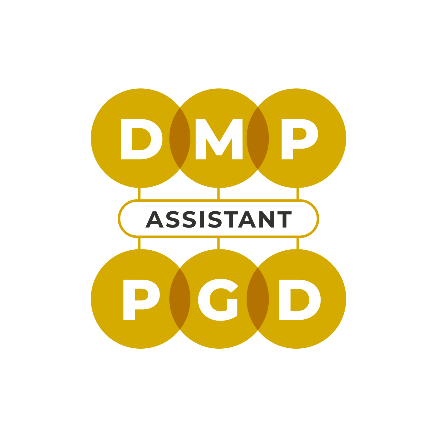 DMP Logo