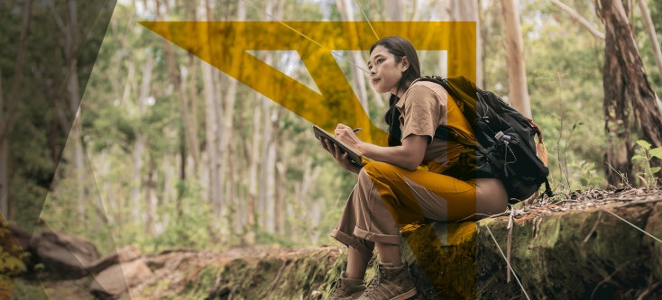 Person Sitting in Forest